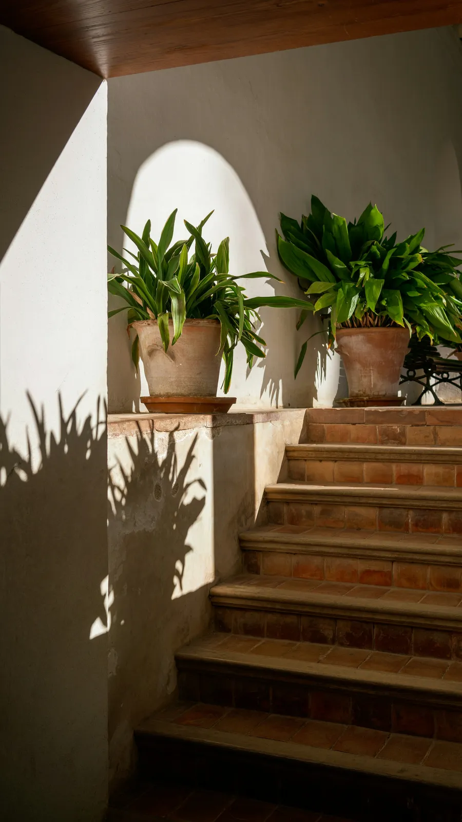 Potted plants on sunlit stone stairs