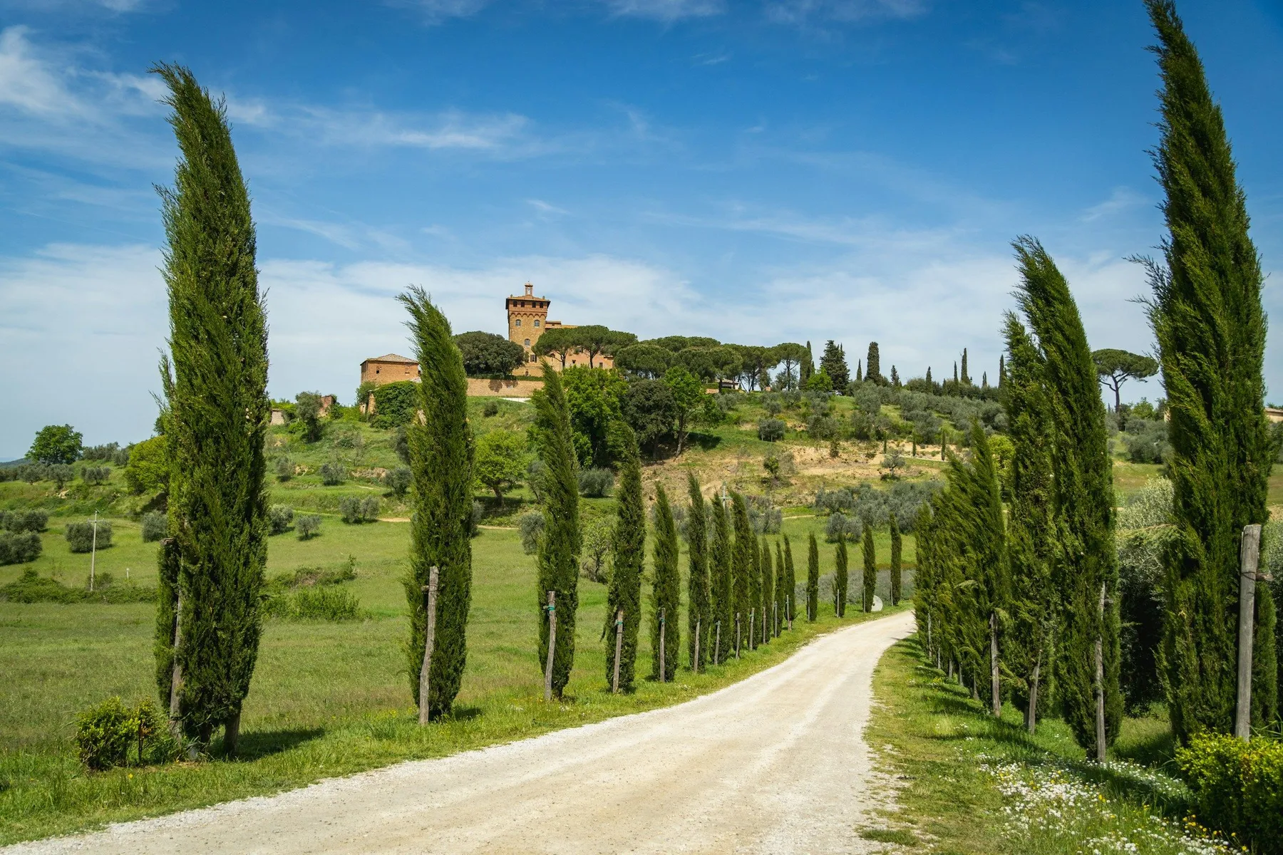 A cypress-lined road winding through the Tuscan countryside